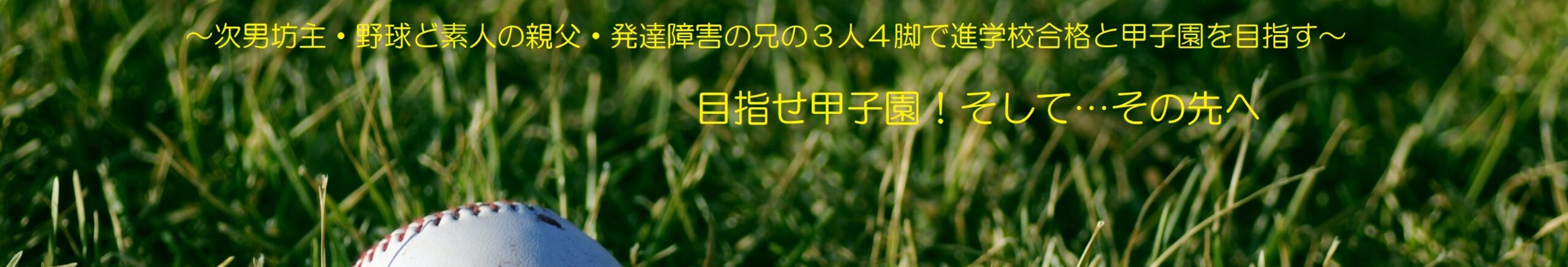 目指せ甲子園！そして…その先へ